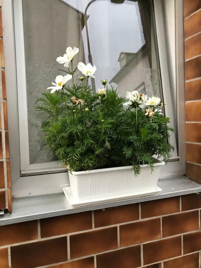 科布倫茨Ferienhaus Loehr Mit Treppenlift别墅 外观 照片